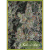 Kalichacra