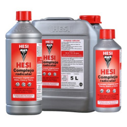 Hesi Complejo Radicular