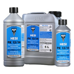 Hesi PK 13/14