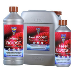 Hesi Boost