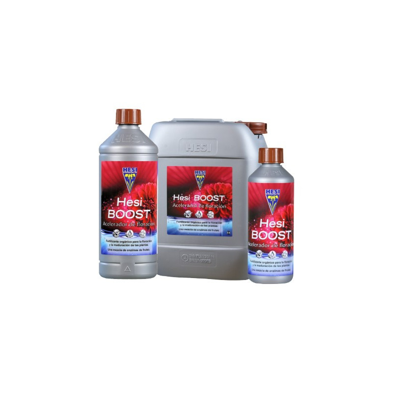 Hesi Boost