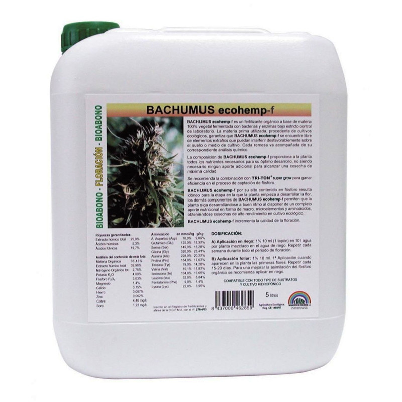 Trabe - Bachumus Ecohemp F