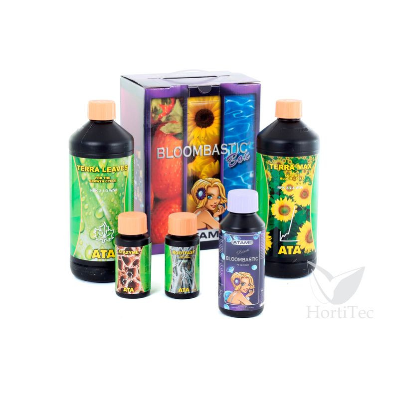 Ata Bloombastic Box Terra