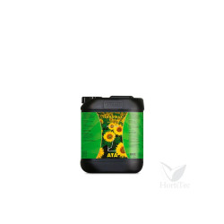 Ata Terra Max