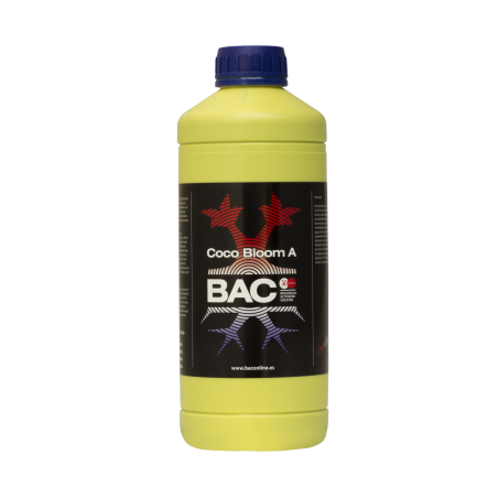 Coco A+B Bloom