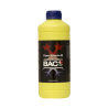 Bac Coco A+B Bloom