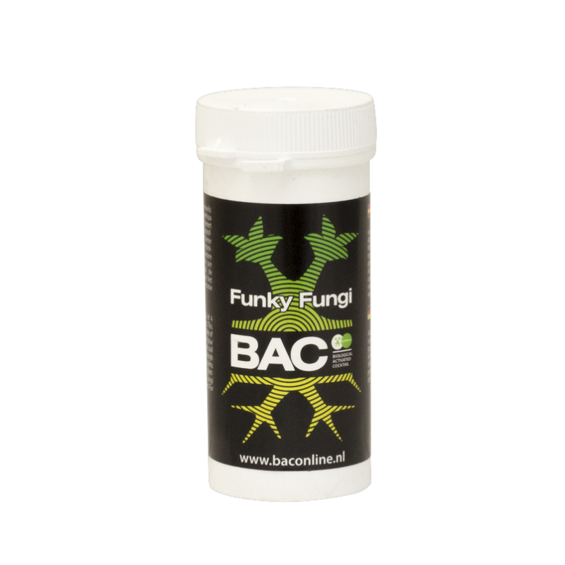 Bac Funky Fungi