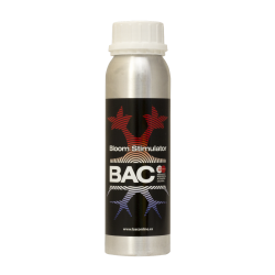 Bac Bloom Stimulator