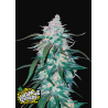 Pineapple Express Auto