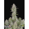 Wedding Cheesecake Auto