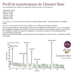 Limonet Haze CBD