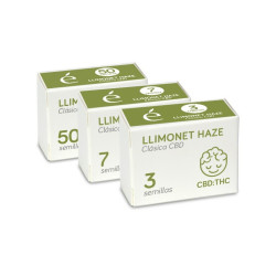 Limonet Haze CBD