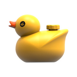 PIPA/BONG KWACK AMARILLO