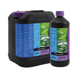 B'cuzz Hydro A+B