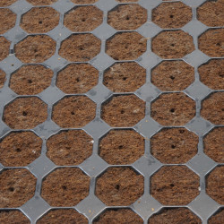 Bandeja 104 alveols Klonmax