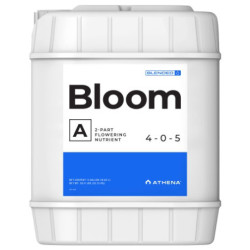 Bloom A Athena