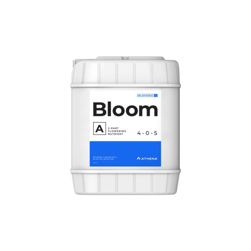 Bloom A Athena