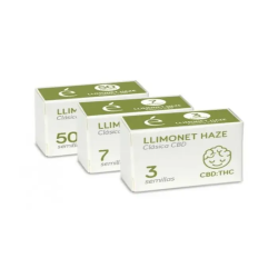 Llimonet Haze CBD Auto