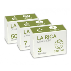 La Rica CBD Auto
