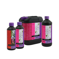 Bloom Stimulator