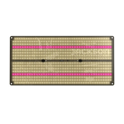 THE JACKSON NEMESIS 200W ESPECTRO COMPLETO