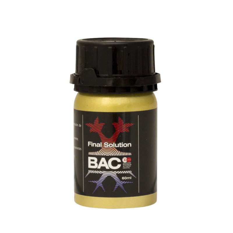 Bac Final Solution