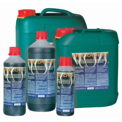 Canna - Rhizotonic