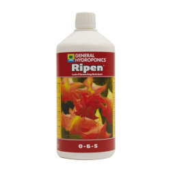 GHE - Ripen
