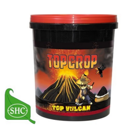 Top Crop - Top Vulcan