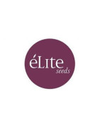 Elite Seeds