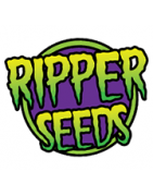 Ripper Seeds