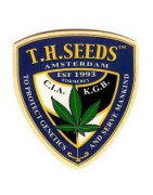 T.H. Seeds