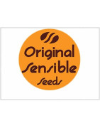 Original Sensible Seeds