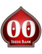 00 Seeds