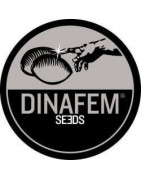 Dinafem