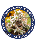 Advanced Seeds