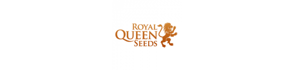 Royal Queen Seeds