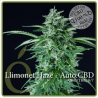 Llimonet Haze CBD Auto