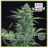 La Rica CBD Auto