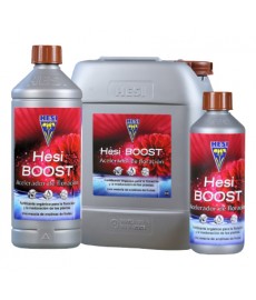 Hesi Boost