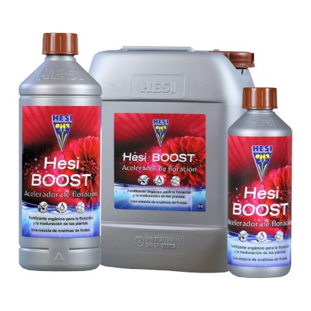 Hesi Boost