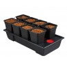 Sistema Wilma Small 8 Completo 11L