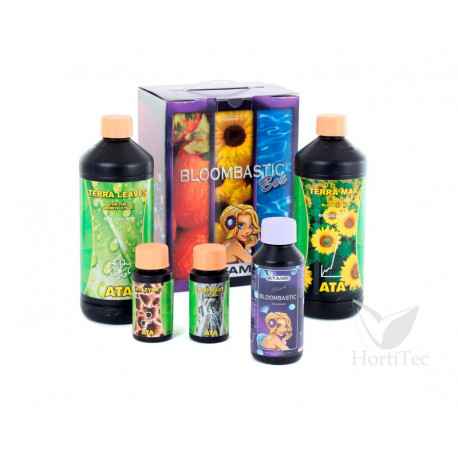 Bloombastic Box Terra Bloombastic Box Terra