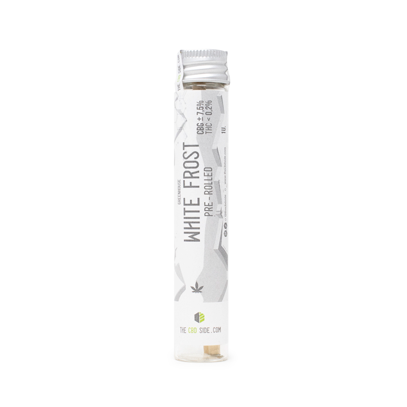 Pre-roll de CBG White Frost – Cogollos Greenhouse Pre-roll de CBG White Frost – Cogollos Greenhouse