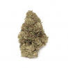 Pre-roll de CBG White Frost – Cogollos Greenhouse