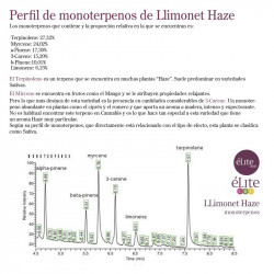 Limonet Haze clasica