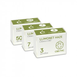 Limonet Haze clasica