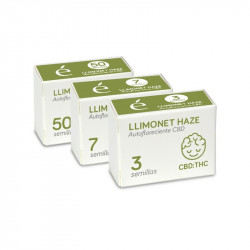 Limonet Haze Auto