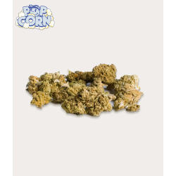 CBD Poppy Blue Candy