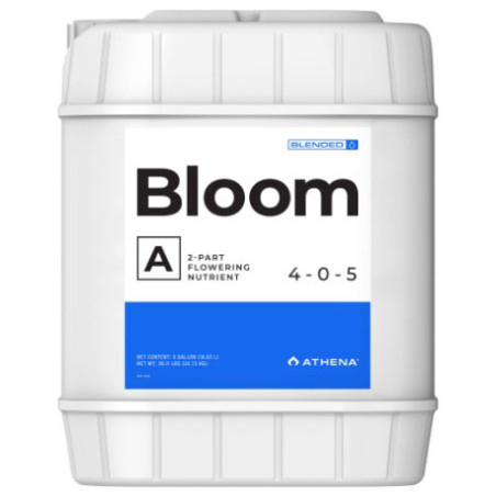 Bloom A Athena